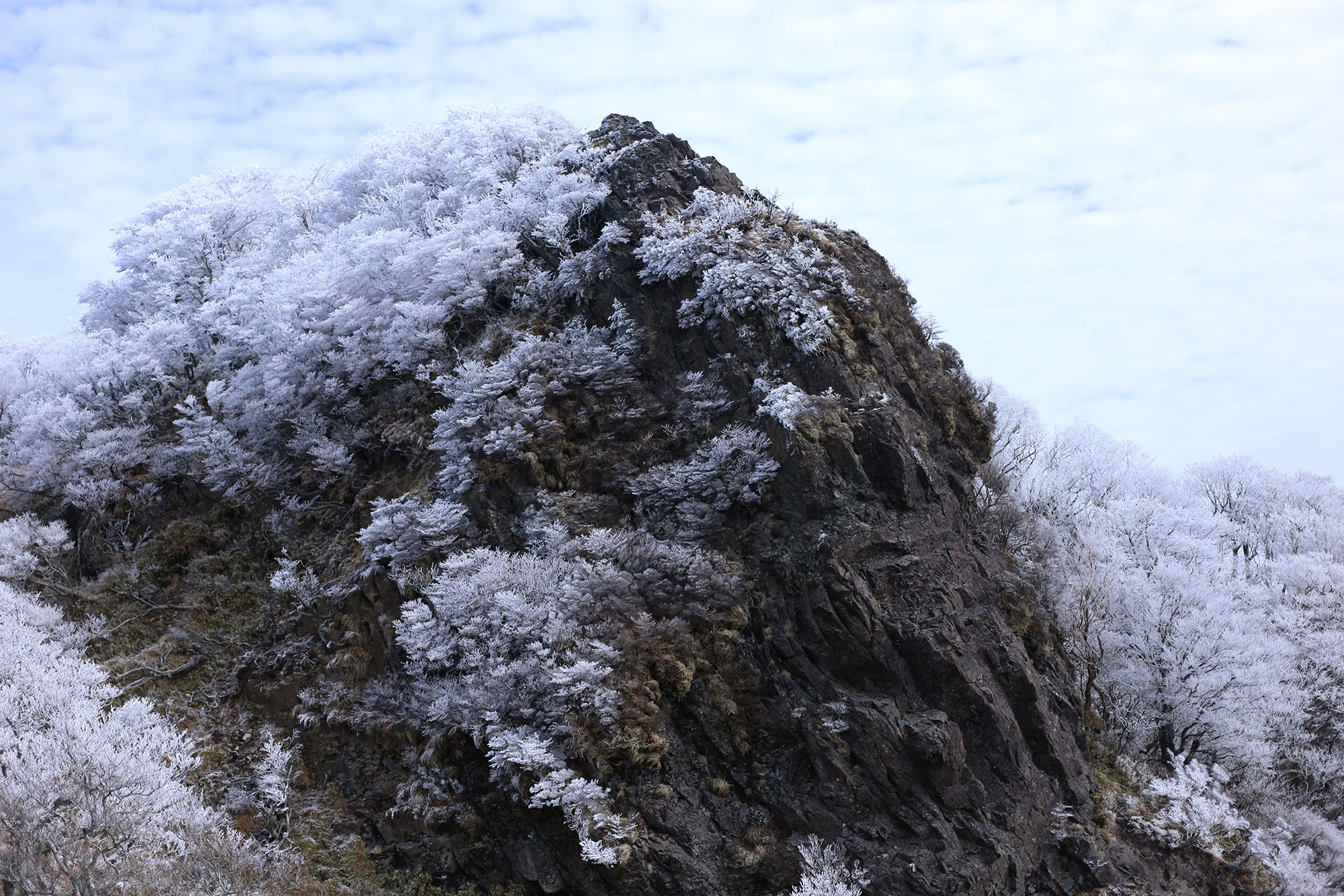 Mt.Sobo in Winter